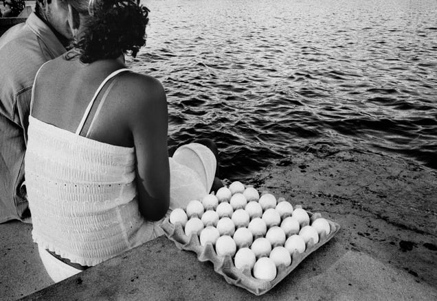Carton of Eggs