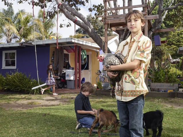 Myles and Max's Backyard