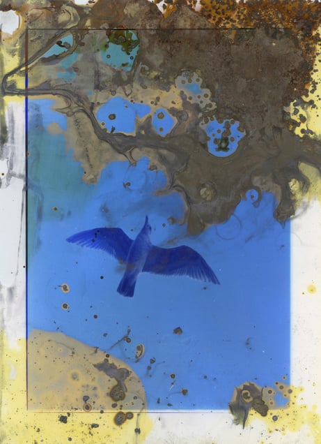 Untitled IX, (Lunar Caustic) C Type, Acid, Silver Nitrate, 2014, 220 mm x 157 mm