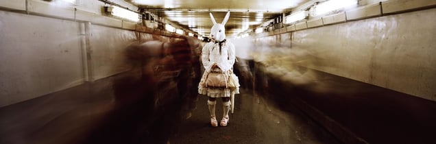 From the series Okurimono © Christian Houge