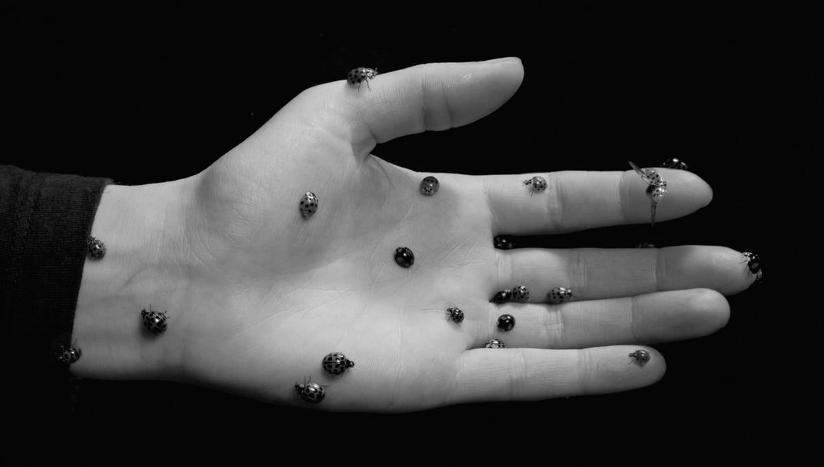 Untitled, 2013 © Julia Kraijer. All images courtesy of Huis Marseille.
