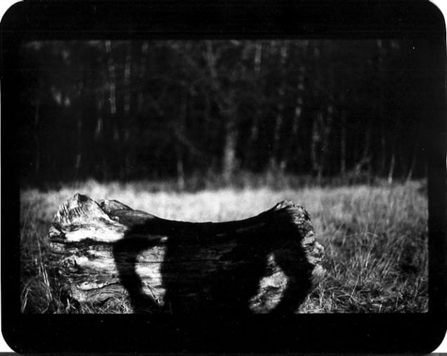 "Untitled" (Shadow #09), 2011