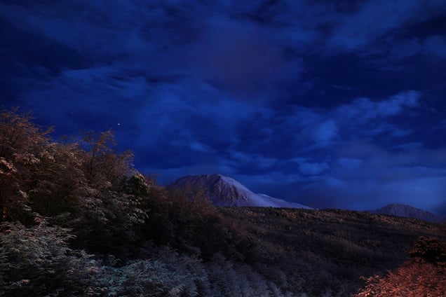 Cerro Castor, Ushuaia - Tierra del Fuego, Argentina