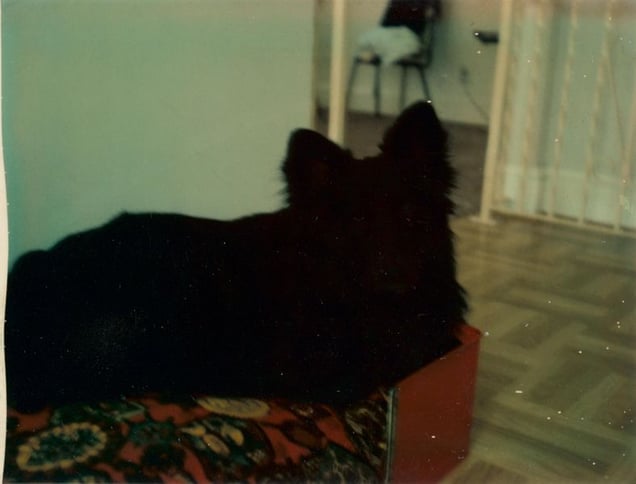 © KesselsKramer Publishing, from In Almost Every Picture #9