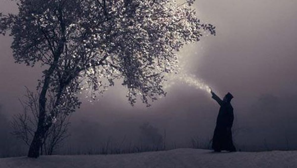 Miracle of Cryofloration, Type C-print, 2002 © Joan Fontcuberta