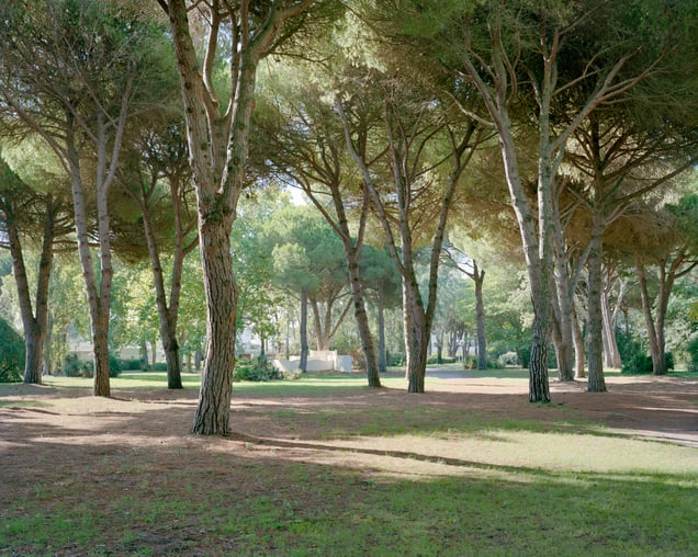 Coulée Verte II – Quartier du point Zéro de La Grande Motte – 2022
Architect - Jean Balladur