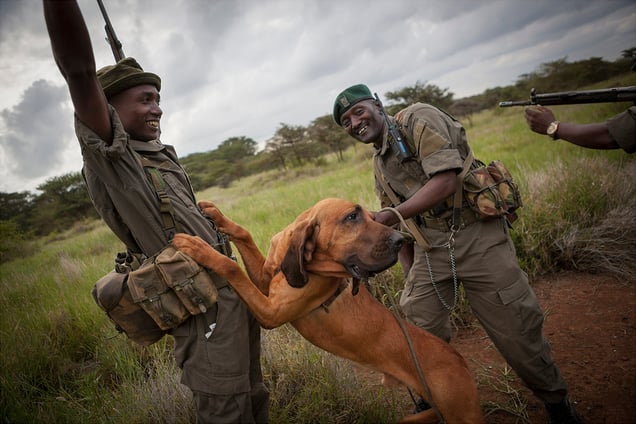 Anti-poaching Dog Team