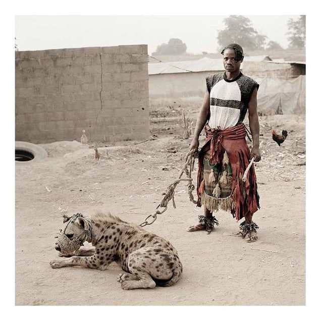 The Hyena and Other Men