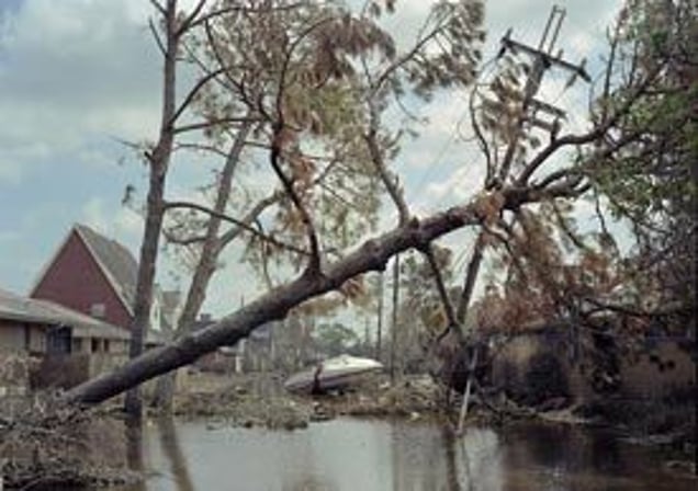 Bellaire Drive, September 2005, New Orleans © Robert Polidori, courtesy of Prix Pictet 2008