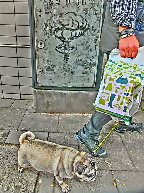 "ATOMIC NIRVANA DOG"