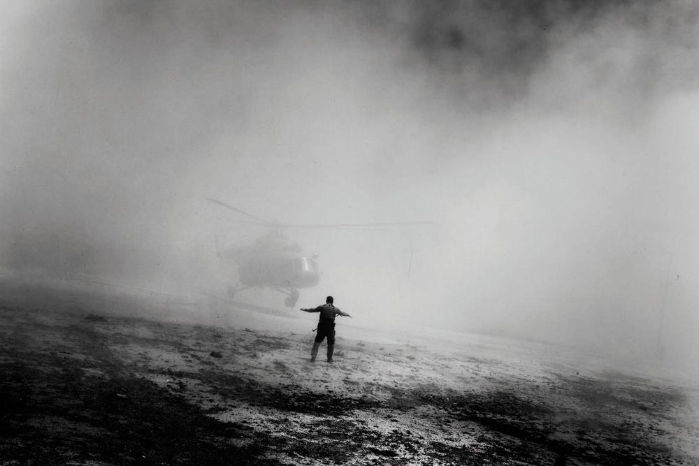 (珍しい本) DIES IRAE PAOLO PELLEGRIN (洋書) 珍しい本) DIES IRAE PAOLO PELLEGRIN (洋書)
