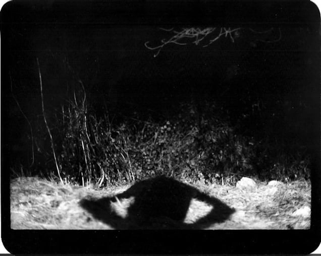 "Untitled" (Shadow #18), 2011