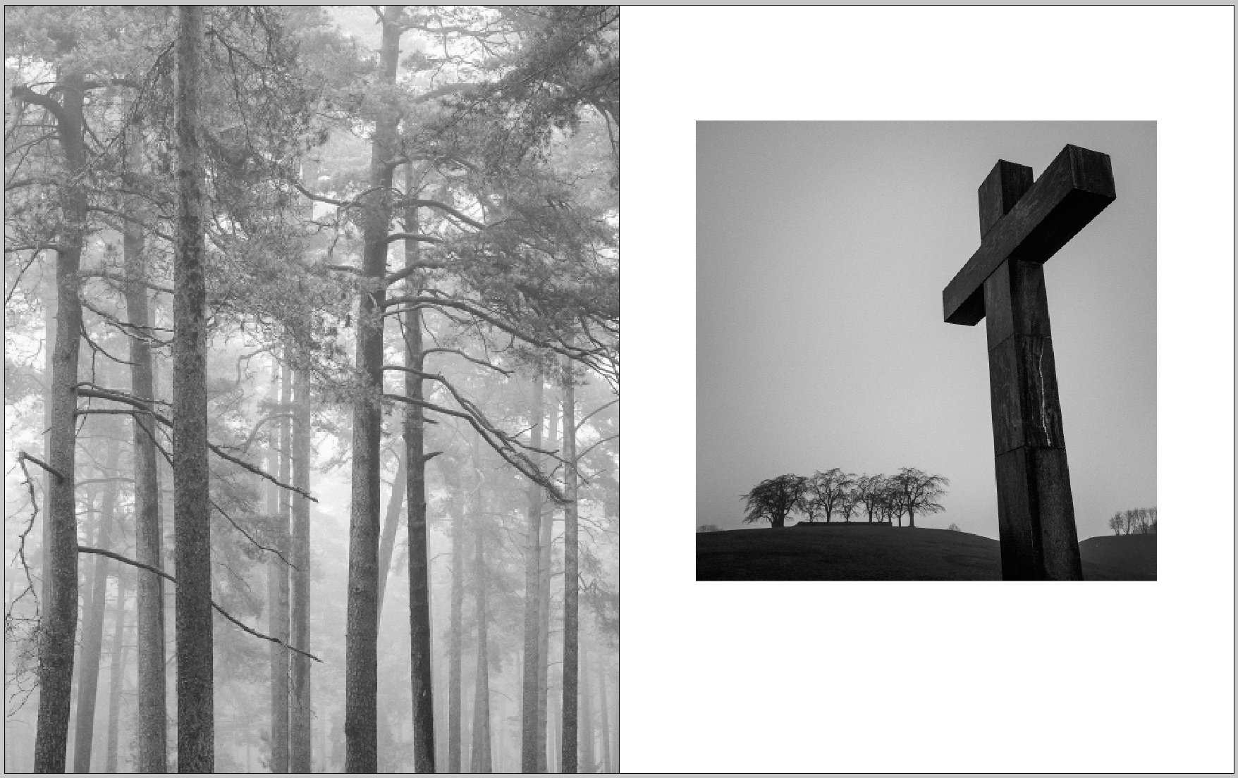 Skogskyrkogården / The Woodland Cemetery