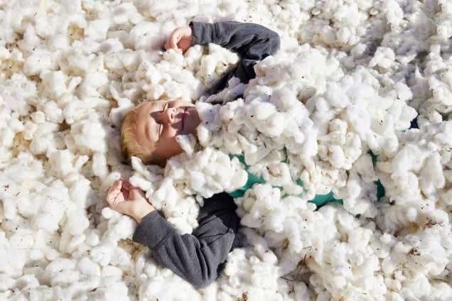 Cotton, an American story