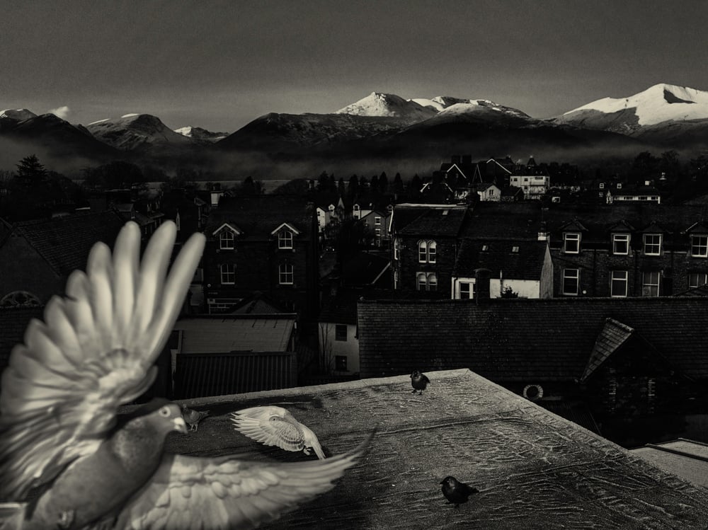 Landscape - a rereading