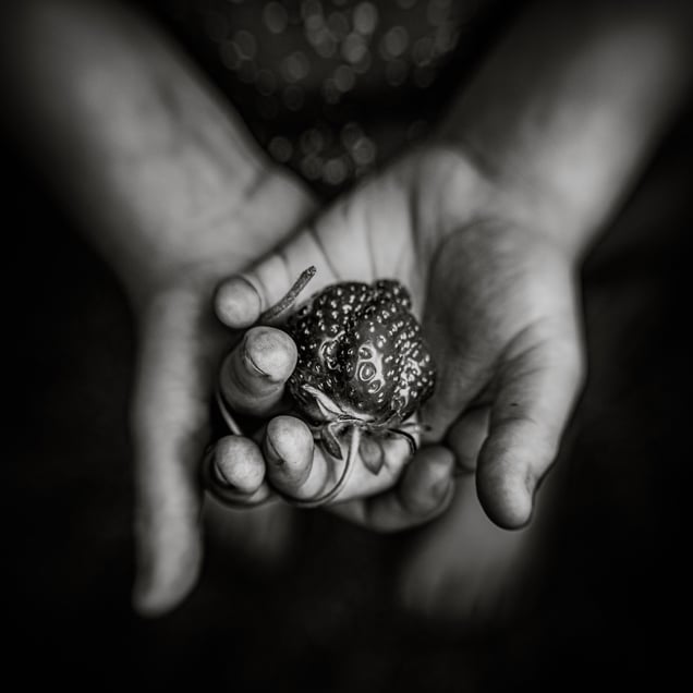 Homegrown Berry