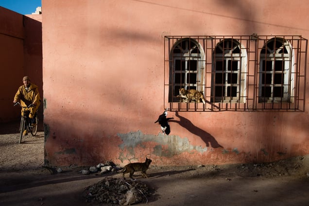 Taroudant. Morocco.