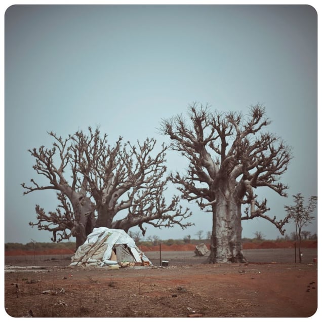 From the series "Afronauts" © Cristina De Middel