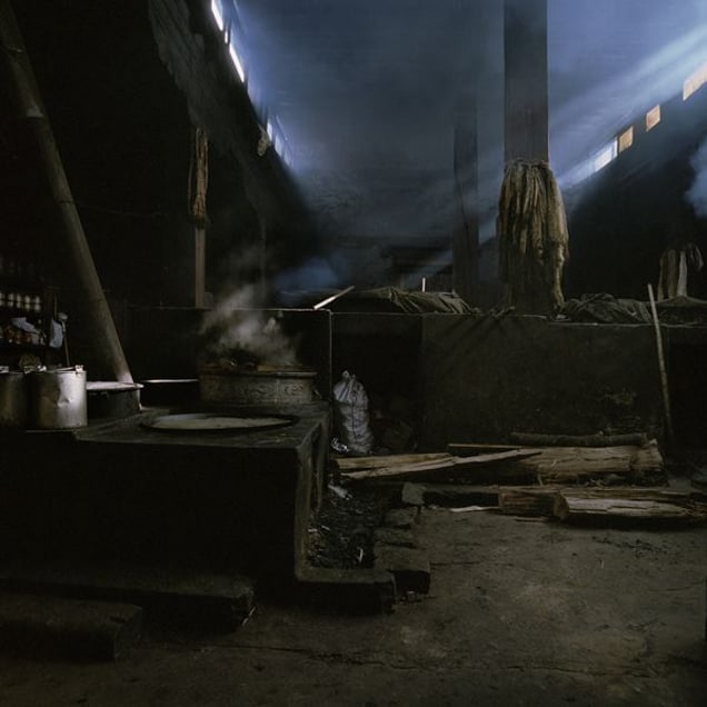 So Nan Jian Cu, © Marrigje de Maar. Honorable Mention, Lens Culture International Exposure Awards 2011