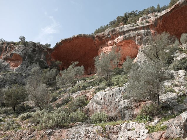 Tree line above blown German bridge, Wadi al Kouf, Libya | From the book "Topography is Fate: North African Battlefields of World War II" | © Matthew Arnold Photography