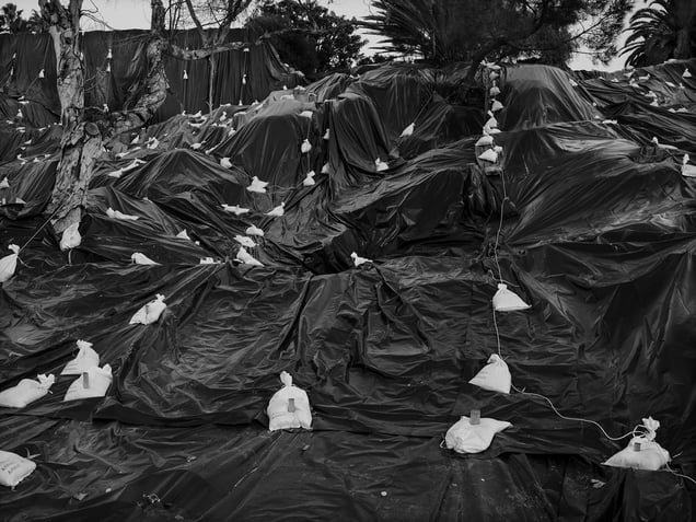 Plastic and sandbags, 2024