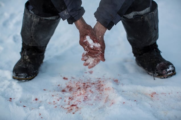 From the series "Greenland" © Ciril Jazbec