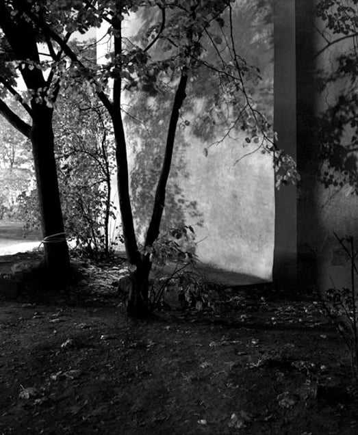 © Awoiska van der Molen
