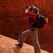 Maria Conceição Pires