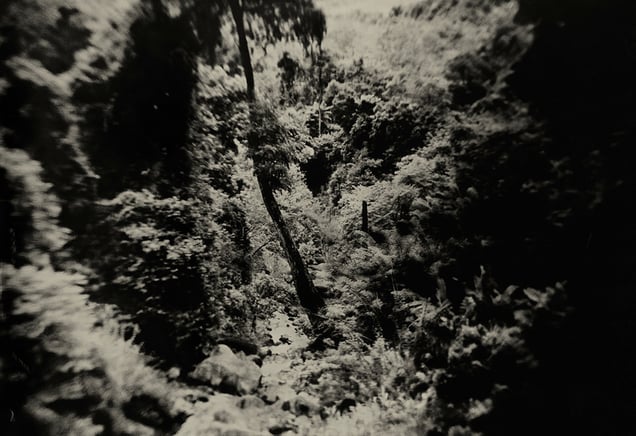 6º 43' 59.318" N 81º 1' 53.101" E