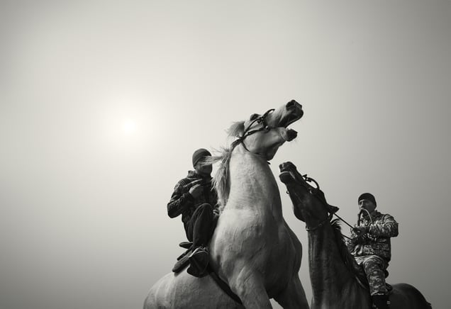 Buzkashi - Uprising