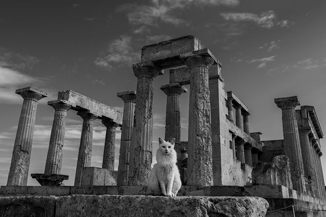 The Oracle of Aphaia.