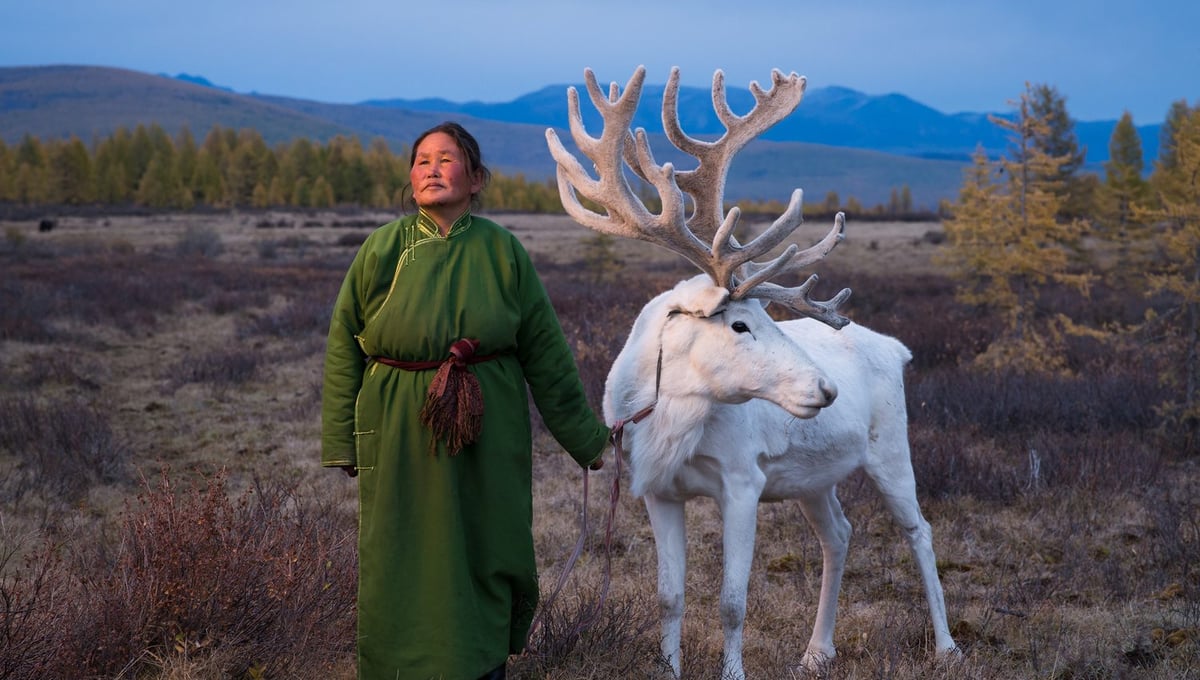 The Tsaatan Woman with Reindeer