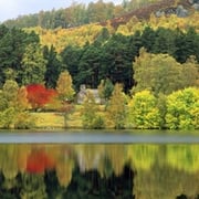 Lenss Admstrong Prod