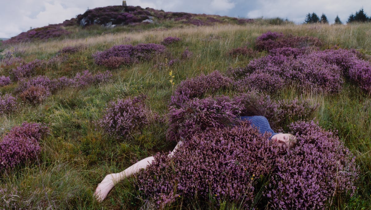 Charly on the moor.