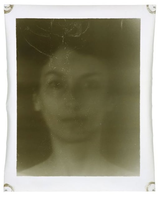 Delphina 3
114 x 93 cm
2008 © Jeff Cowen