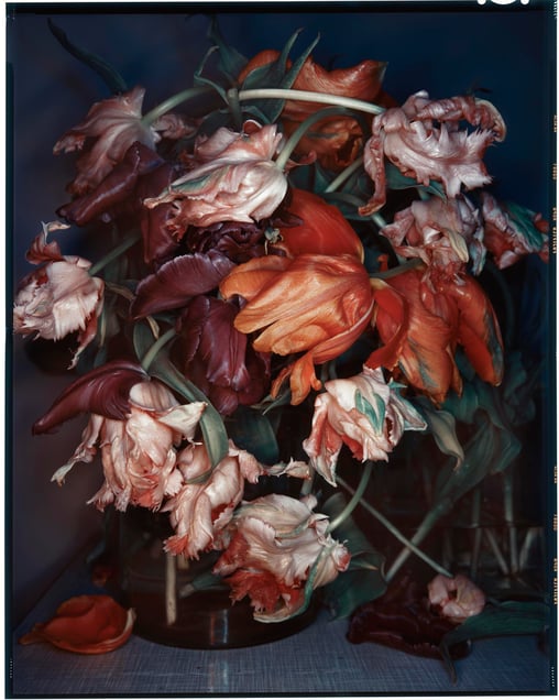 Photo © Jasper Zwartjes, courtesy of Hungry Eye Gallery