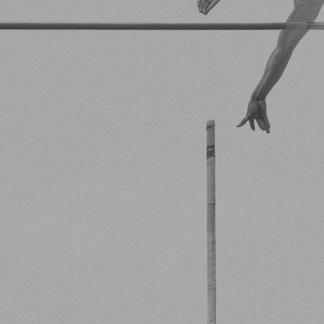 pole vault XII
