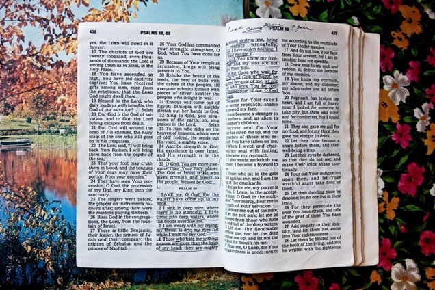 Norma's Bible, 2008