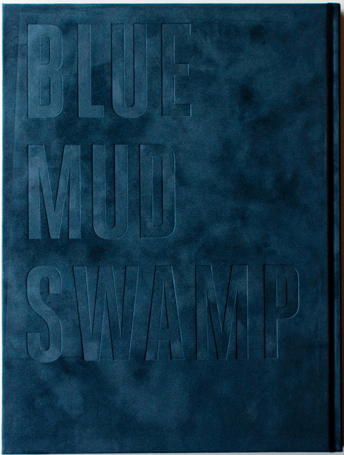 Blue Mud Swamp