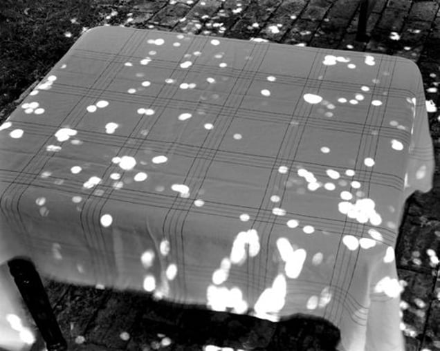 Sunspots on Covered Table, 2000 © Abelardo Morell