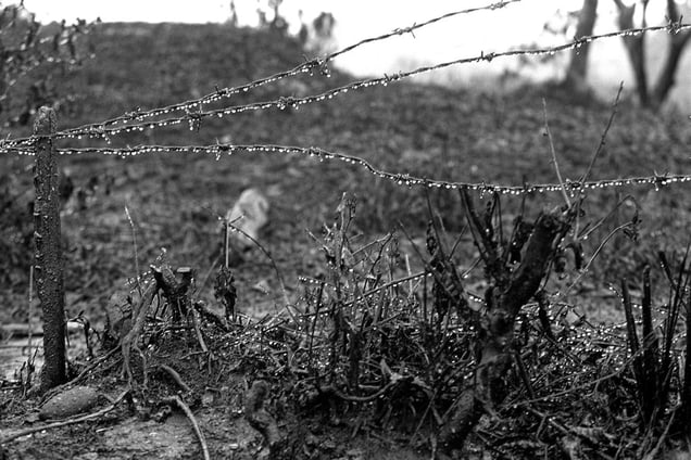 Municipio de La Hormiga-Putumayo. On Tuesday, after the dynamite attack on the oil pipeline, the oil spill drowned the entire landscape. On Wednesday, the first rays of light hit caught raindrops. In 2001 these scenes around oil pipelines were repeated. © Jesus Abad Colorado, courtesy of Prix Pictet 2008