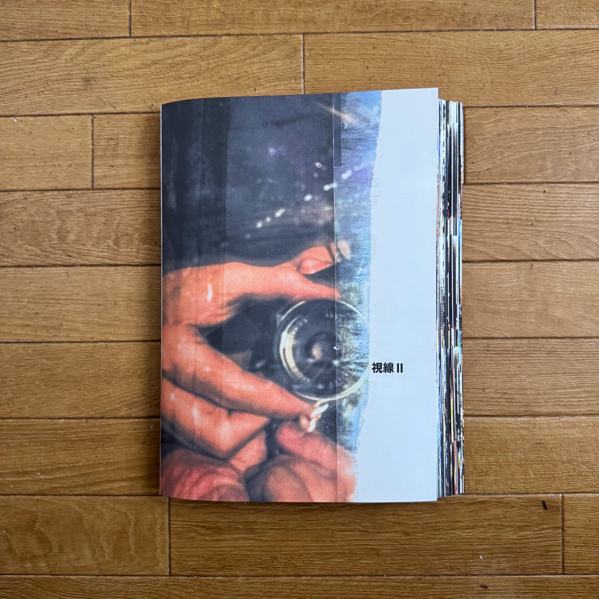 視線Ⅱ（regard 2) 