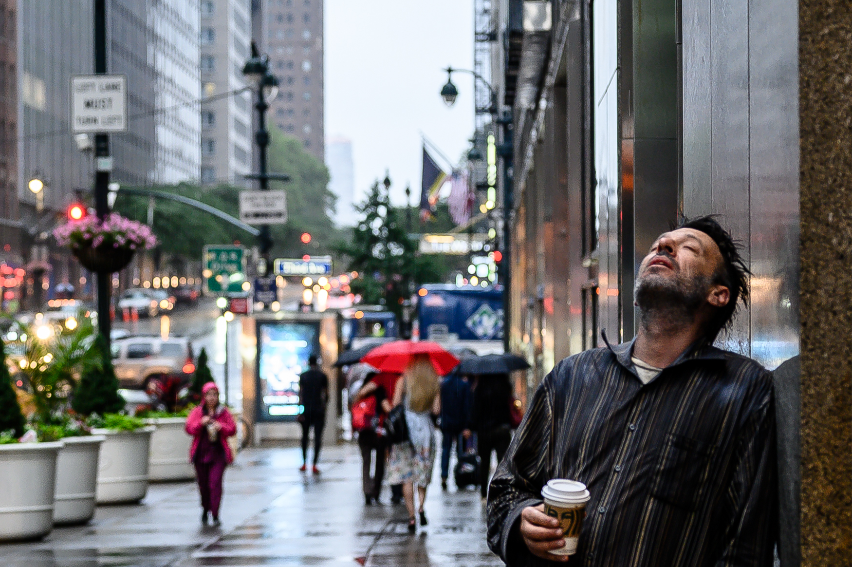 Will Marry for Food - A Portrait from New York