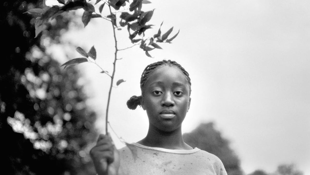 © Brandon Thibodeaux