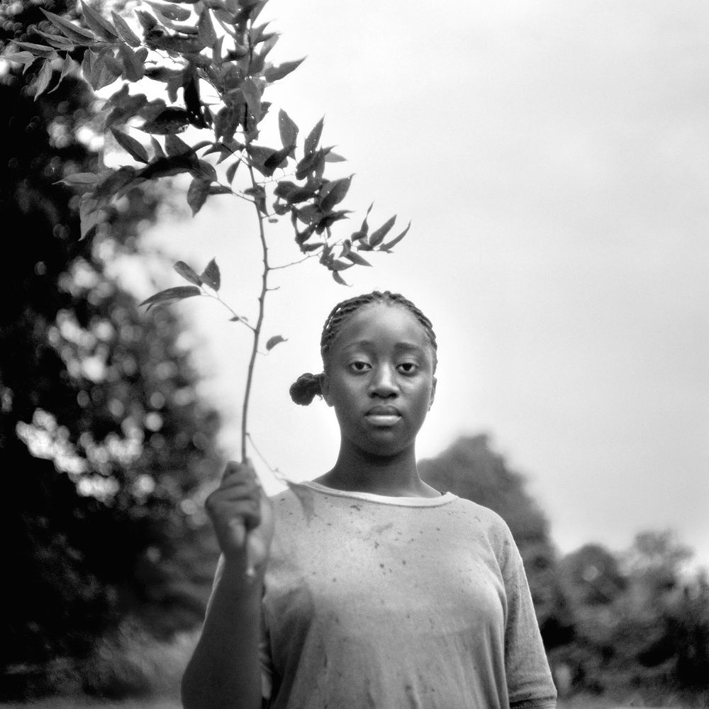 Portfolio Category - Portrait Awards 2014