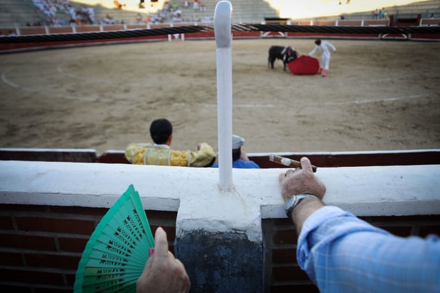 Bullfighting Spectators - Spain