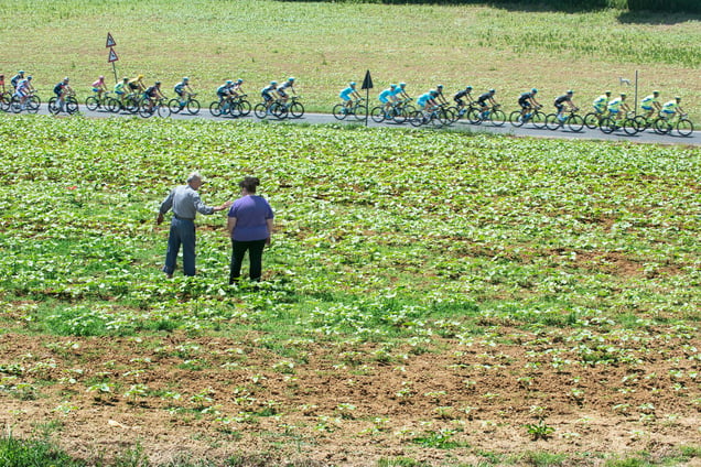 Stage: Marche. Castelfidardo.The stage is entirely flat and covers almost the whole of the Adriatic coastal road.