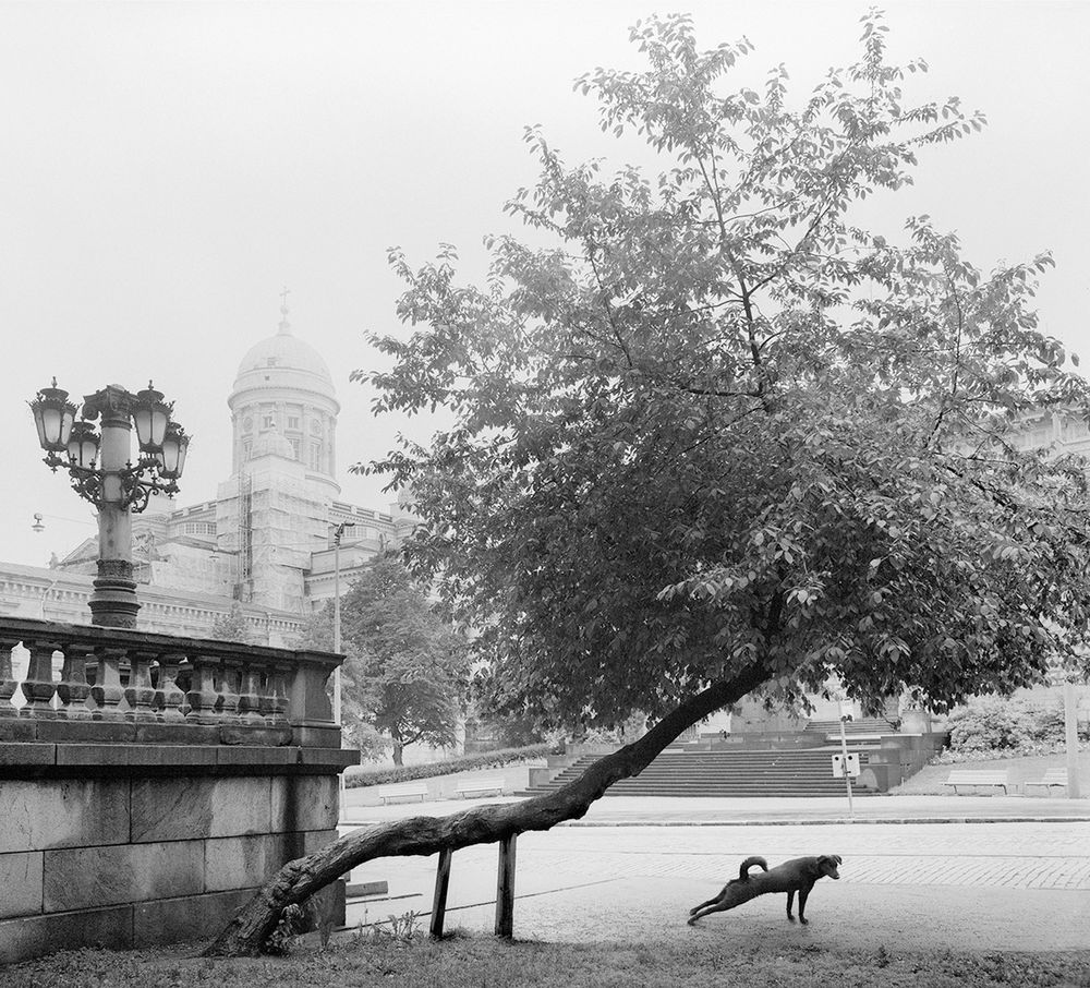 Here Far Away - Photographs by Pentti Sammallahti | LensCulture