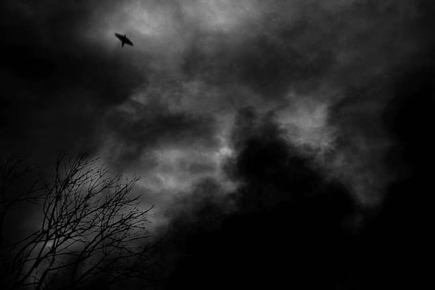 Recollecting Dream