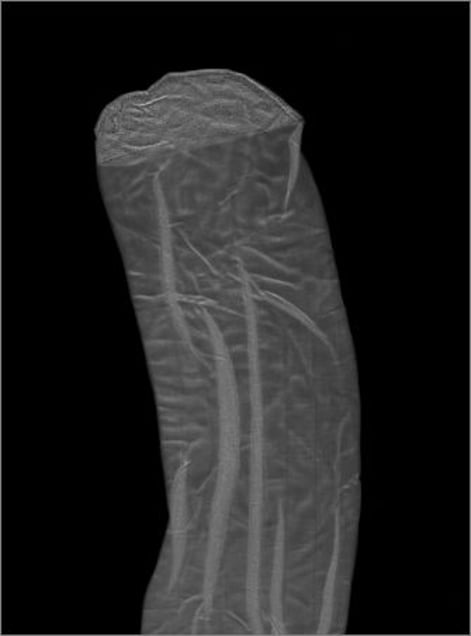 Stalactite. © Elaine Duigenan